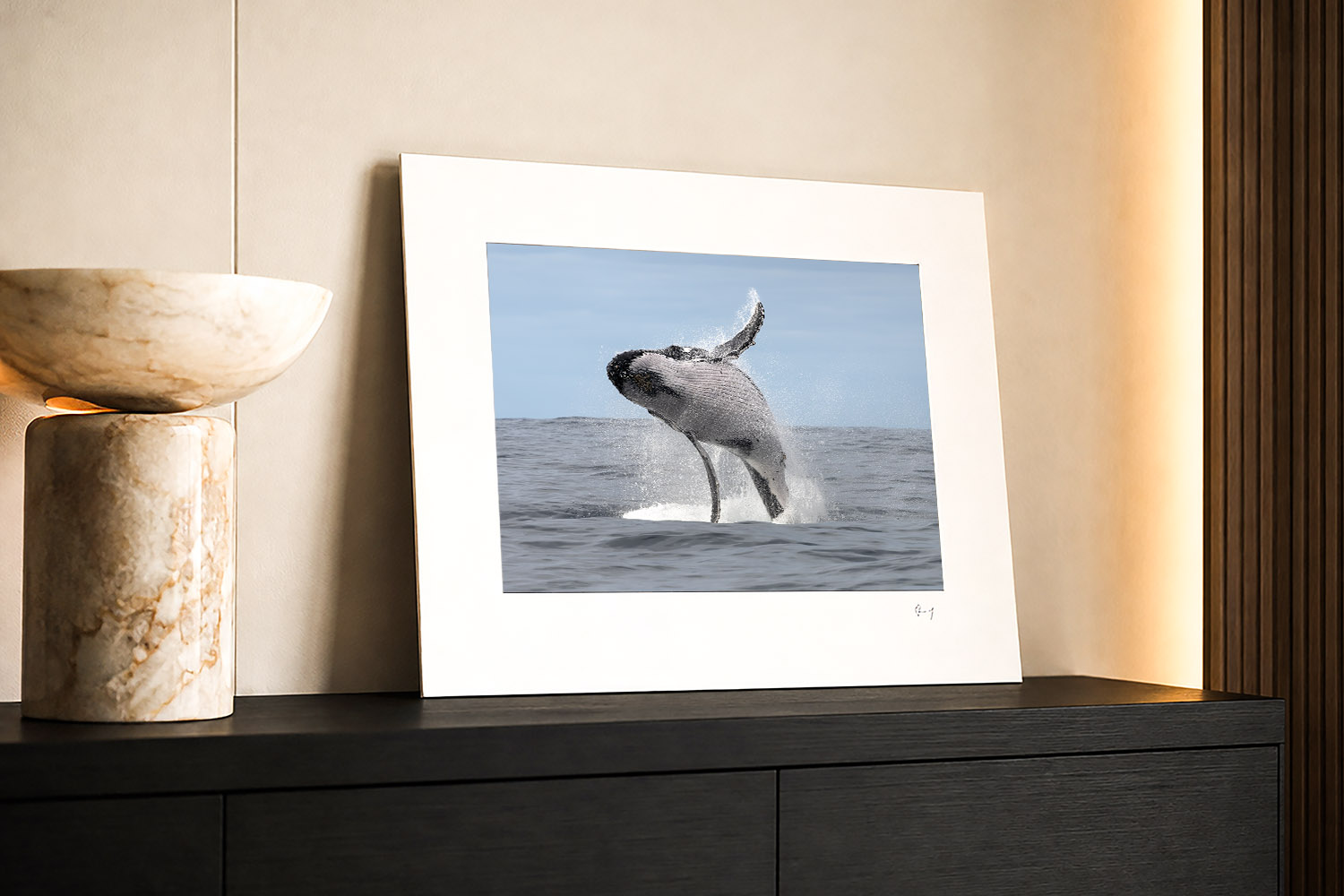 Breaching humpback whale at Port Stephens, Australia, displayed as mounted ocean wall art in a modern interior.