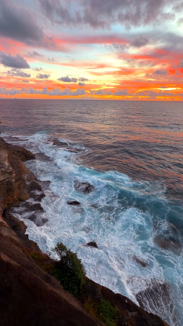 One of the most epic views along Australia’s East Coast 💛