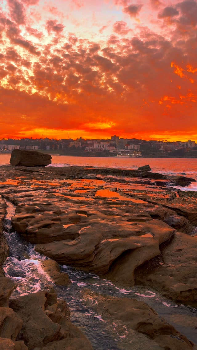 No matter how many times, Sydney sunsets never get old 🫶🏻