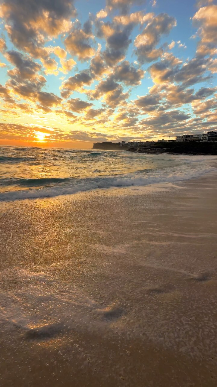 A little piece of Bronte every day 💛