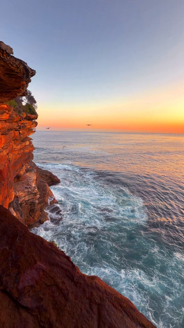 One of the most epic views along Australia’s East Coast 💛