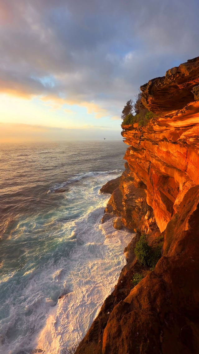 A little piece of Bronte every day 💛