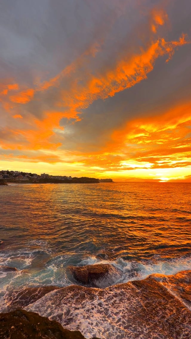 Good morning Sydney 💛