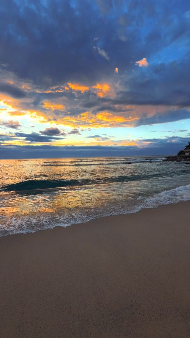 A little piece of Bronte every day 💛