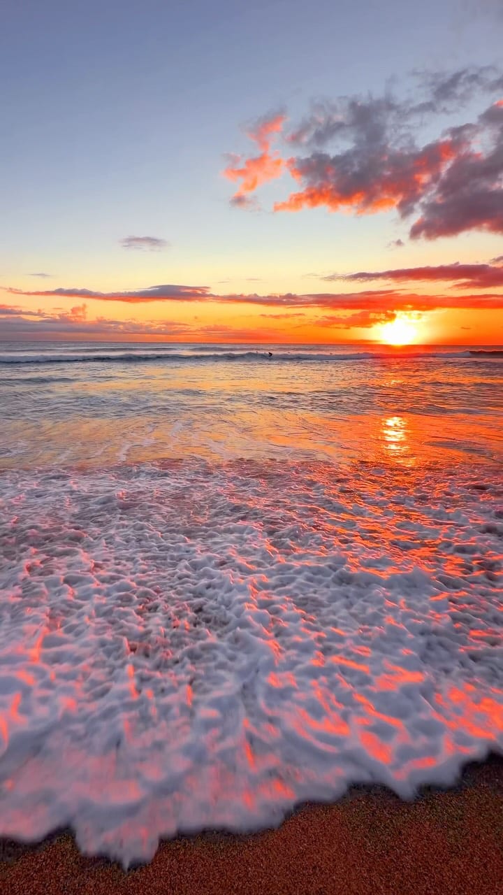 The path to paradise isn’t paved. It’s covered in sand 💛