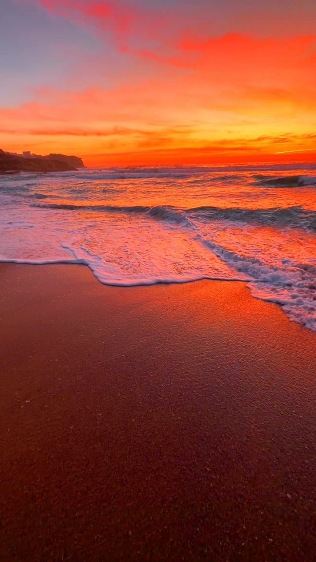 The path to paradise isn’t paved. It’s covered in sand 💛