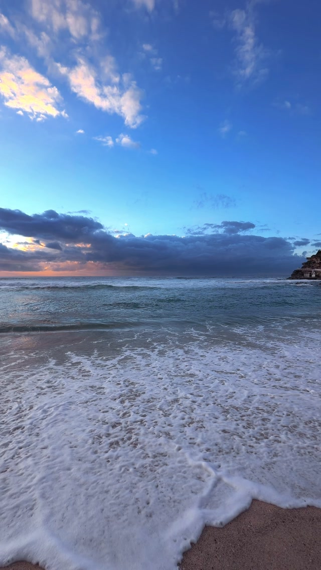 A little piece of Bronte every day 💛